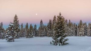 Moonset over snowy landscape by Mark Ruckman