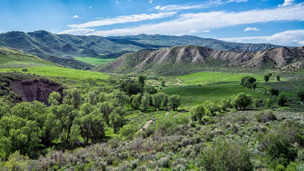 Lush Green Valley of Colorado by Mark Ruckman