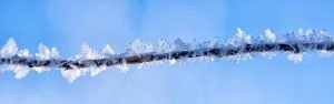 Frozen Ice forms around a warm winter wire and shows it lightness by Mark Ruckman