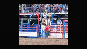 Bucking Bronco provides an extreme lift by Mark Ruckman