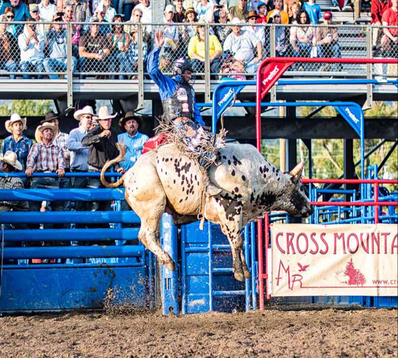 Bull rider takes to the air by Mark Ruckman