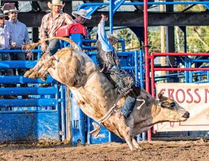 Bull Rider on a Bull with a twist and kick by Mark Ruckman